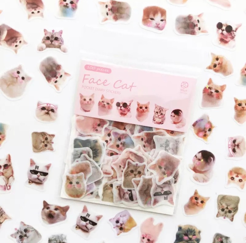 Set de mini stickers “face cat”