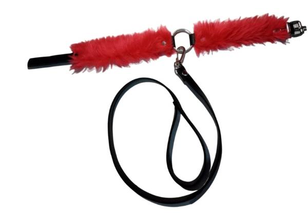 Collar Foxy