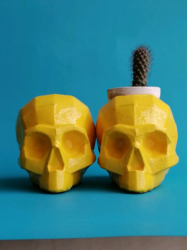Calavera amarilla