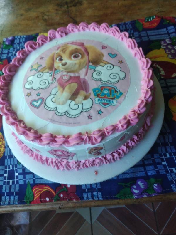 Pastel de los paw patrol en retalhuleu