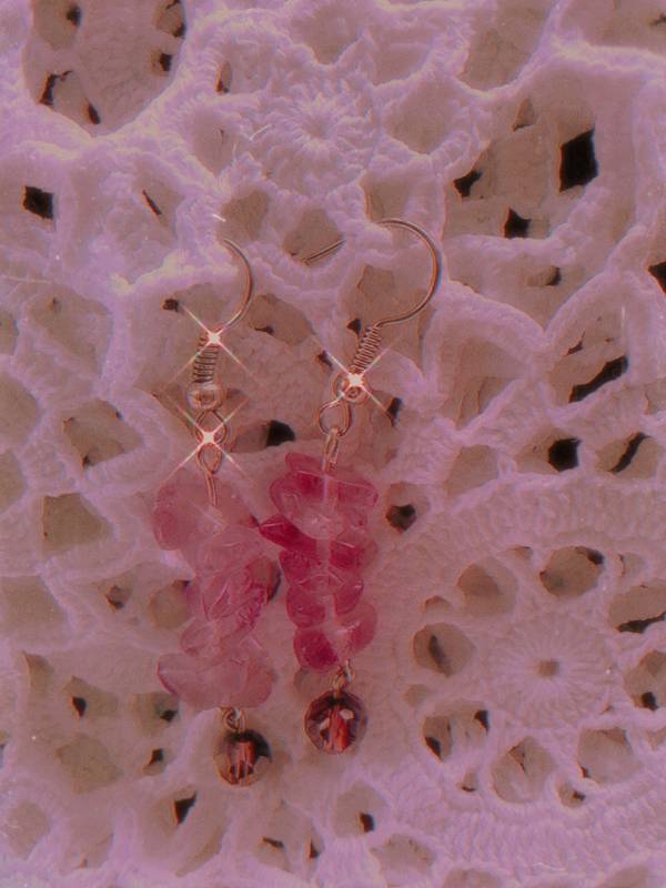 jellyfish, brain_coral, sea_anemone