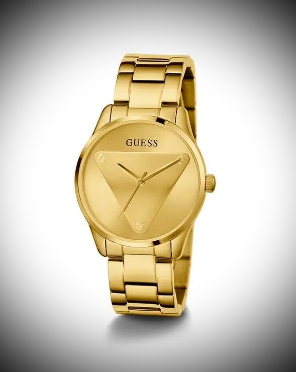 Reloj GUESS gw0485l1