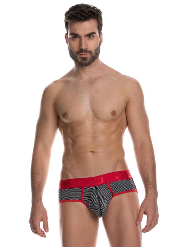 STRIPE BRIEF
