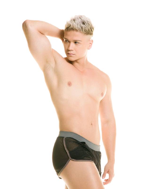 DESTRUCTIVE GRAY SHORTS
