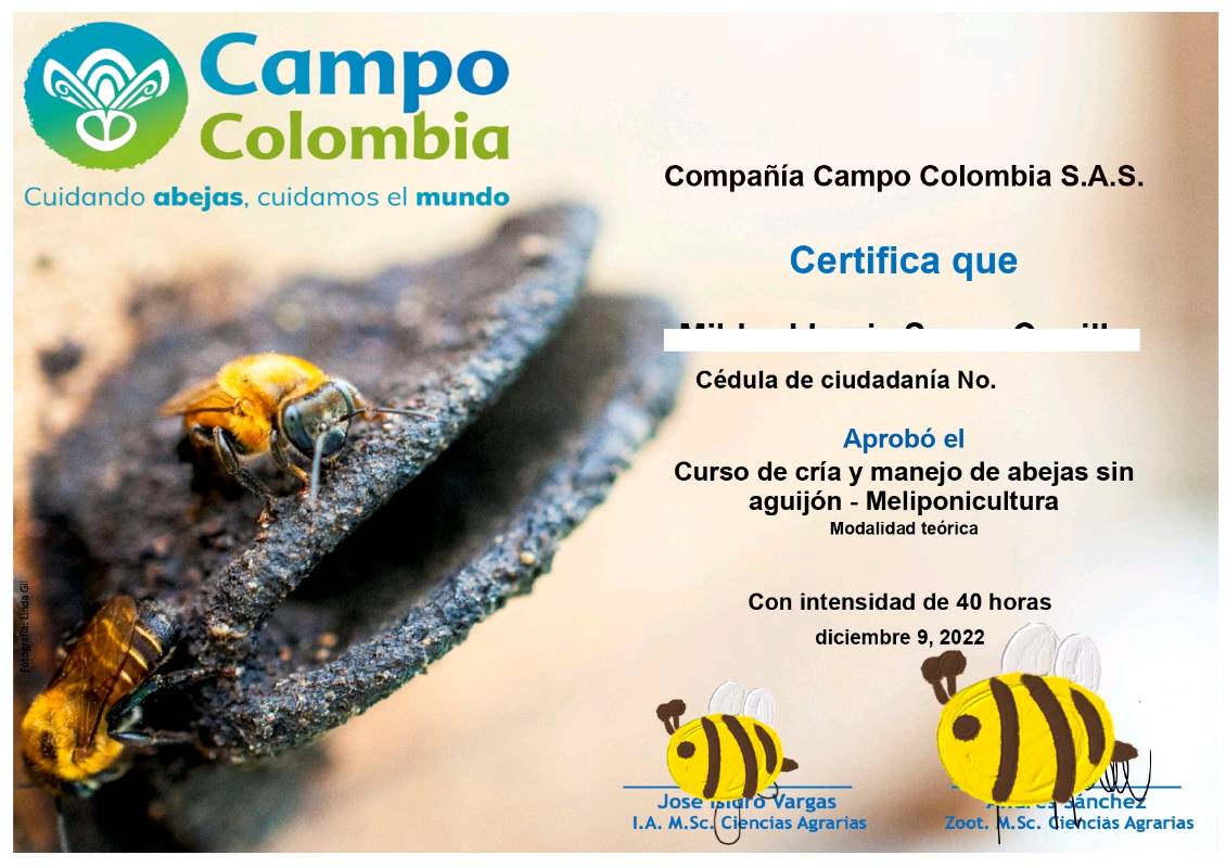 Curso avanzado en línea de meliponicultura 