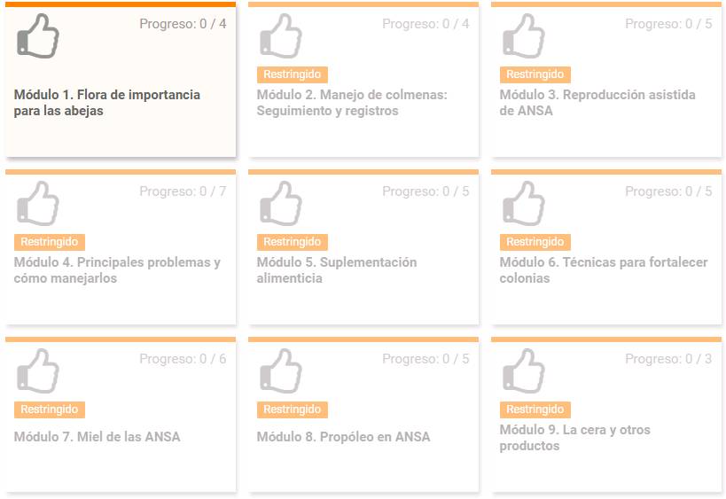 Curso avanzado en línea de meliponicultura 