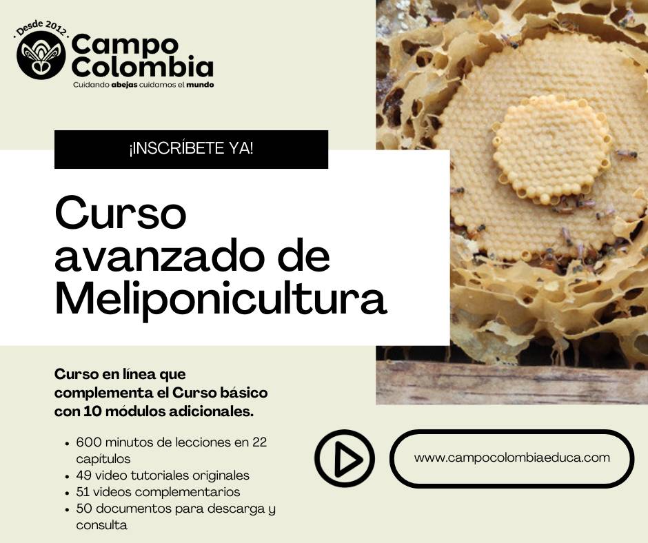 Curso avanzado en línea de meliponicultura 