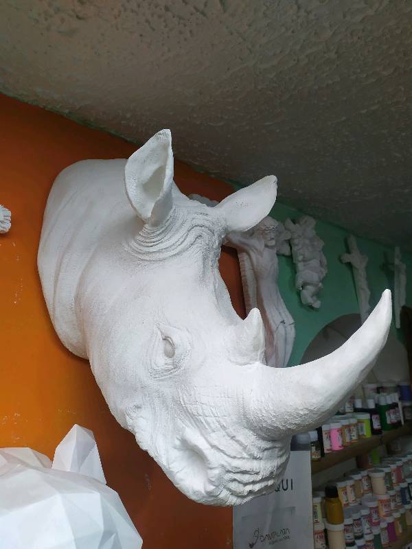 triceratops, conch, piggy_bank
