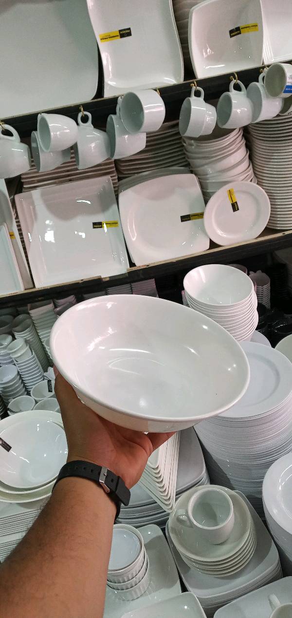 washbasin, soup_bowl, plate_rack