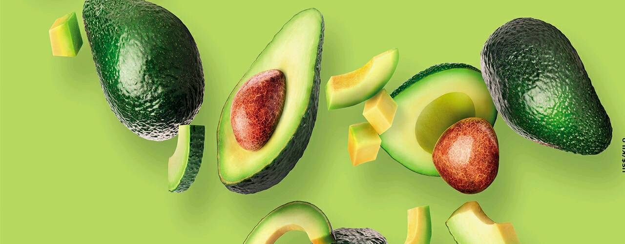 Palta has chilena