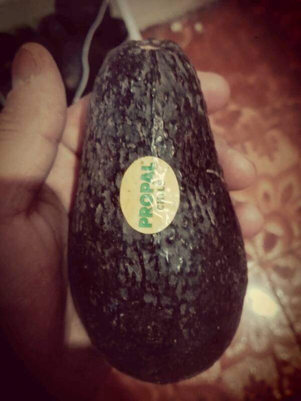 Palta has chilena propal 