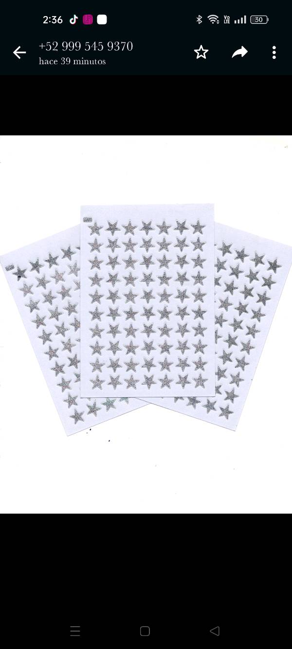 SE102 Sticker estrellas plata con 10 planillas