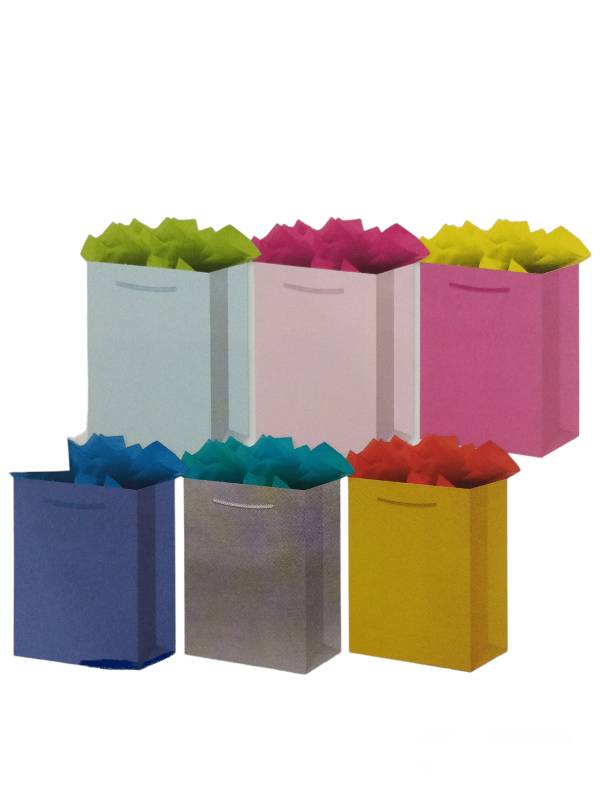 020149 Bolsa med Kraft colores lisos 1 con 12 