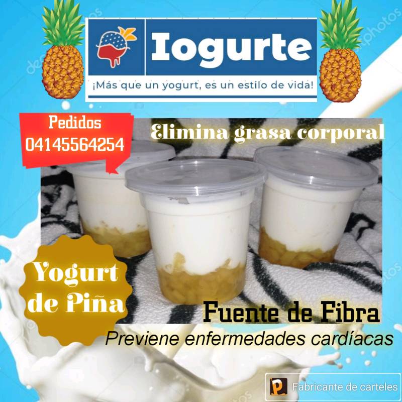 Verdades Sencillas: Productos cojonudos: yogurtera eléctrica de 1 litro de  Industrias Rumbo