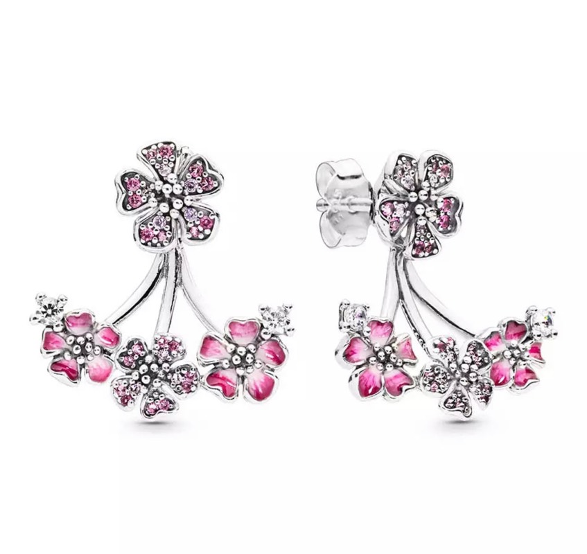 Aretes Pandora Plata 925