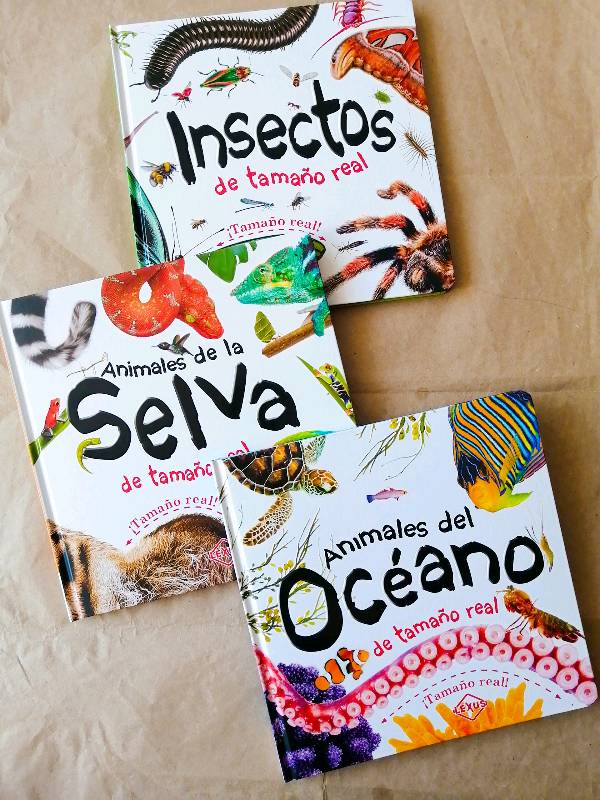 Insectos