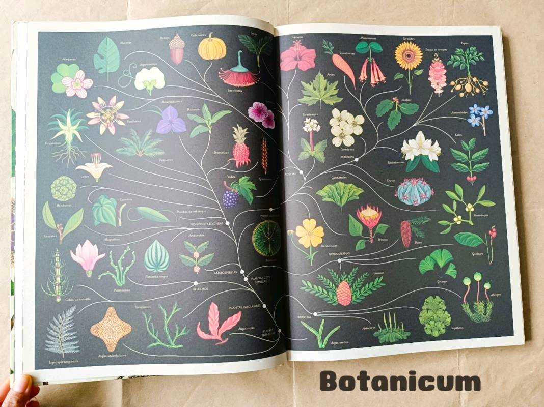 Botanicum