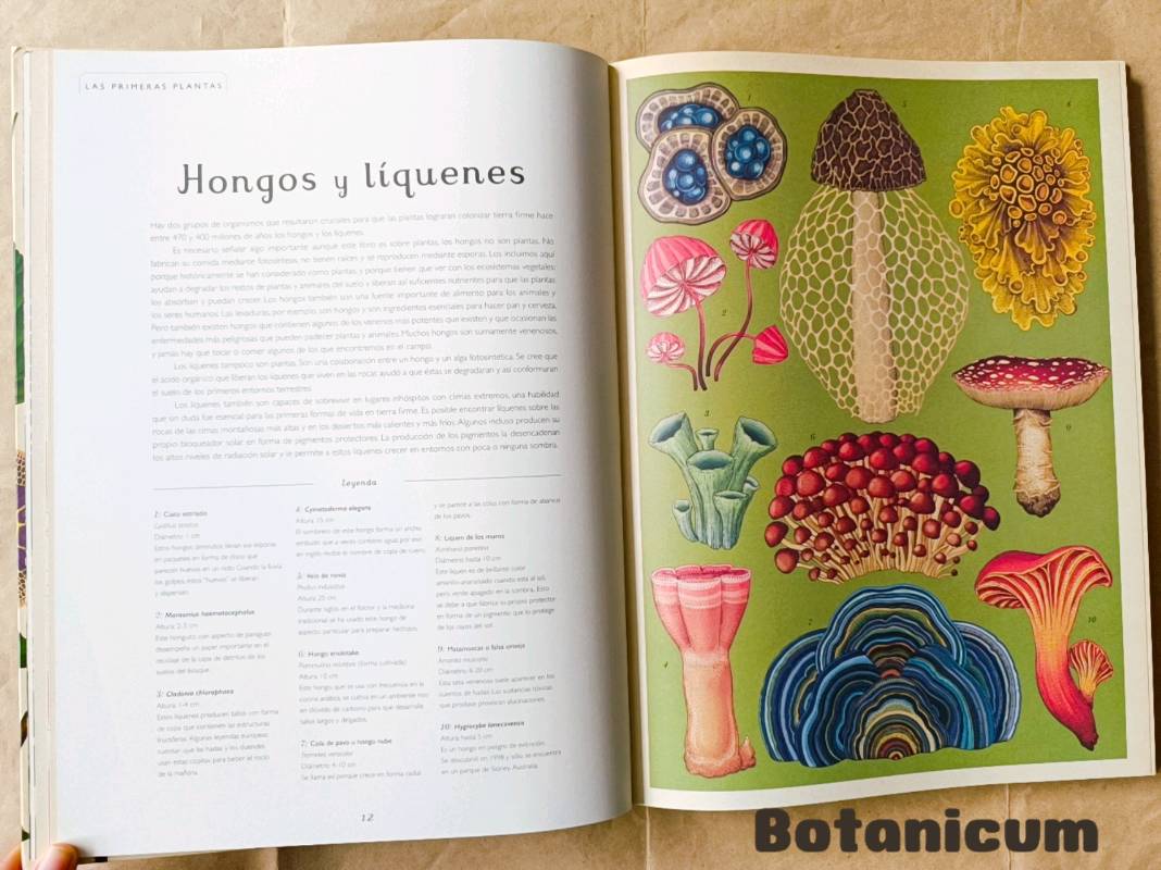 Botanicum