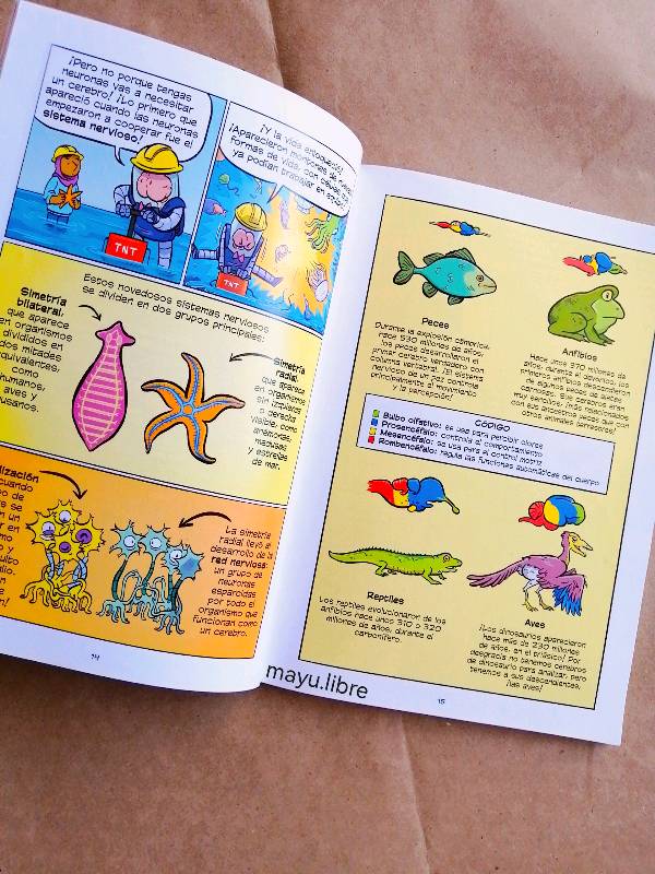 Cómics de ciencia El cerebro