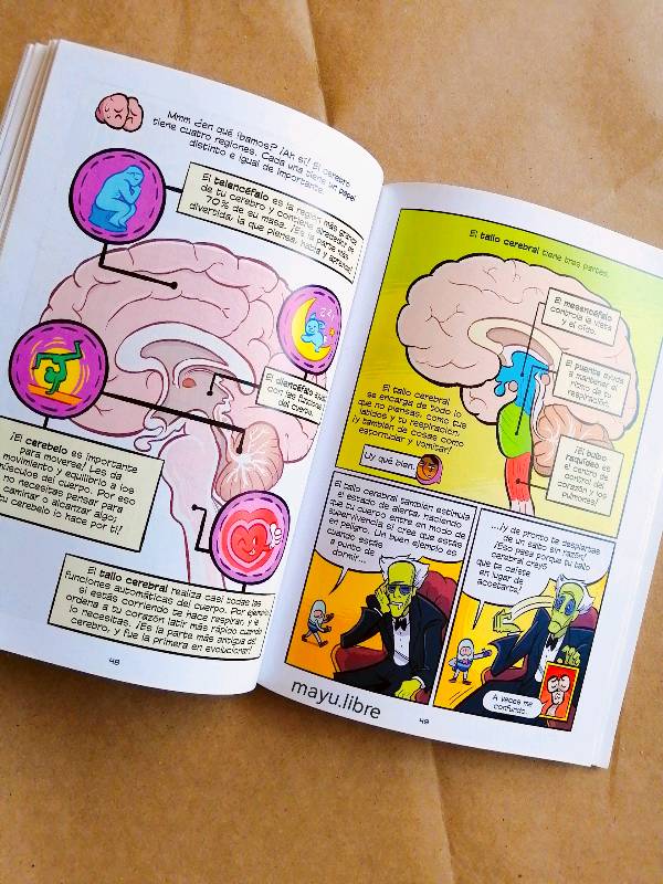 Cómics de ciencia El cerebro
