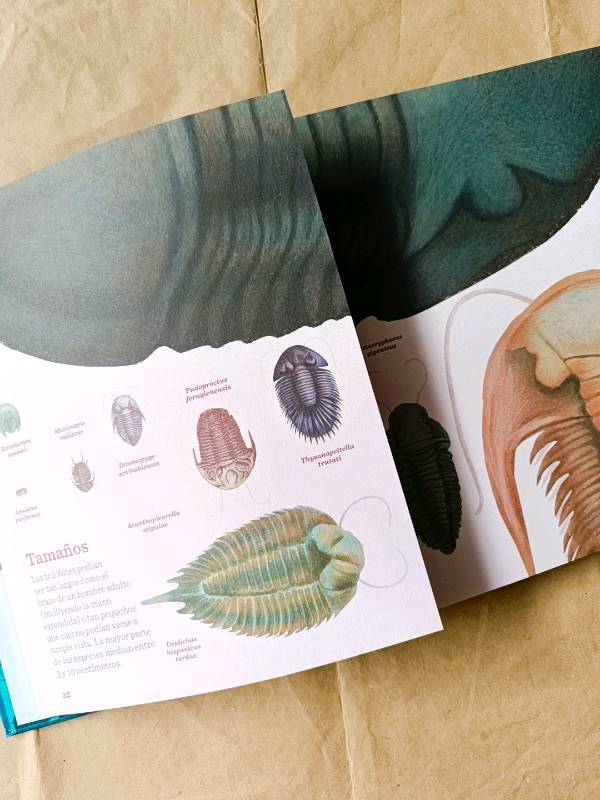 Trilobites