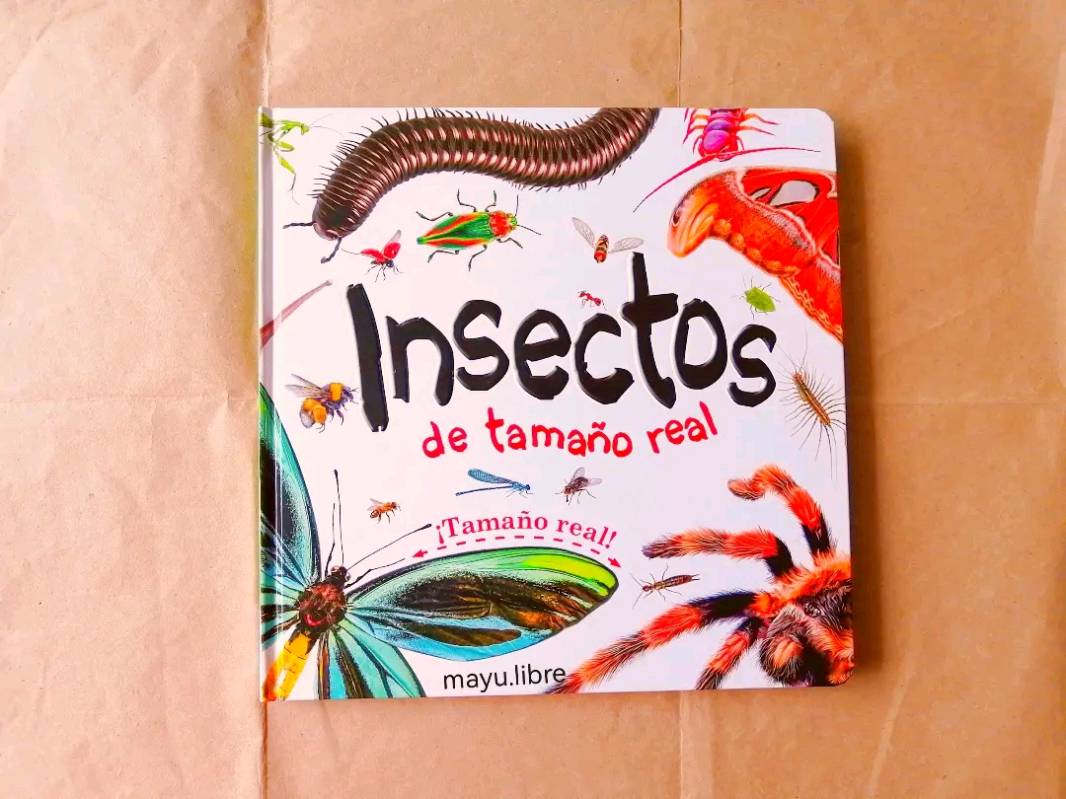 Insectos