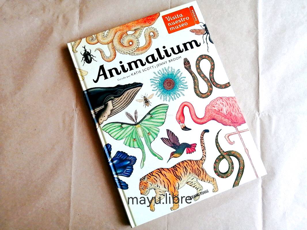 Animalium