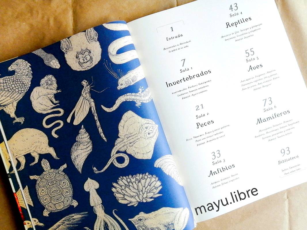 Animalium