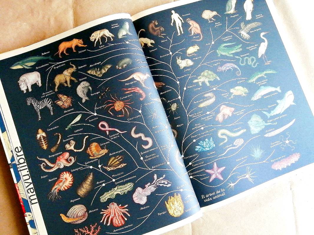 Animalium