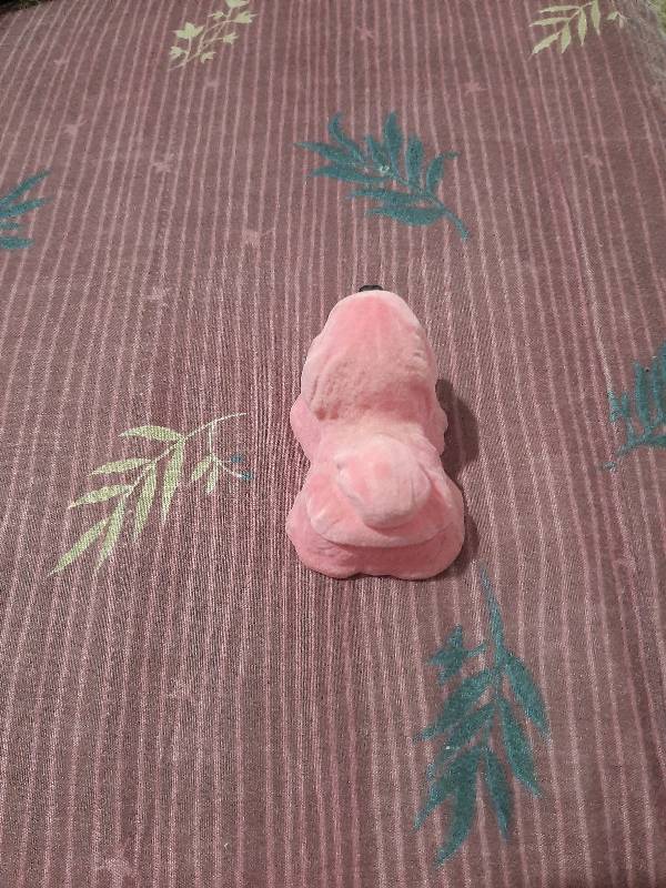 Se están vendiendo estos hermosos aros de oro