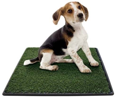 Tapete de entrenamiento para perros 80*60 cm - Tienda de Mascotas Cali