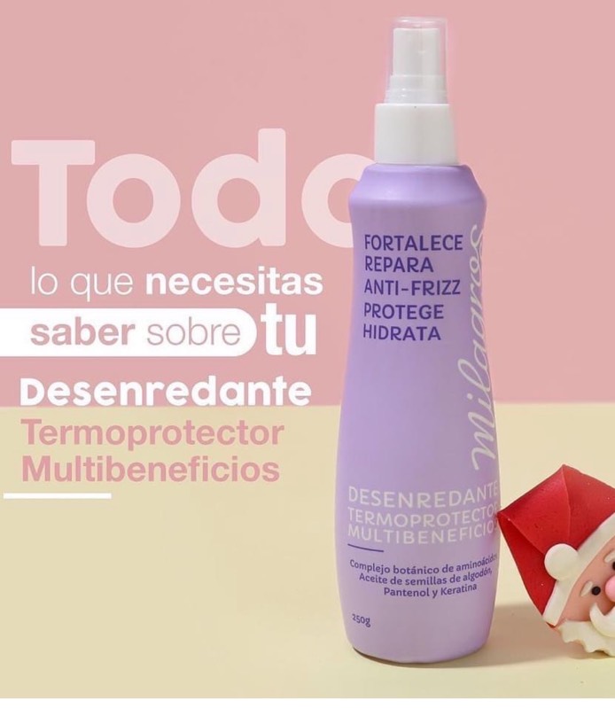 Termo infusionador - Tu Despensa Ecológica, Benimaclet