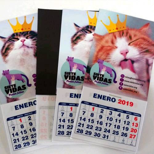 Mini Calendario Magnetico 2019 - Imprime Tu Producto CHILE