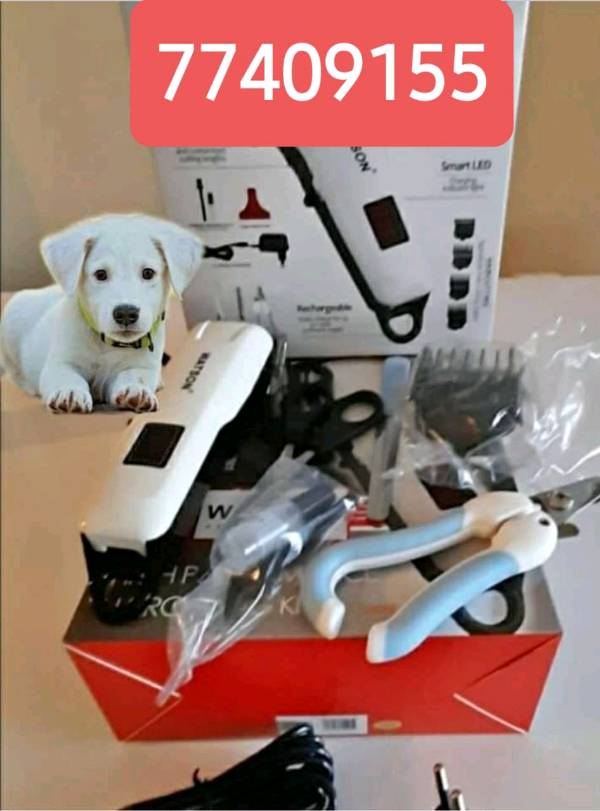 Corta pelo para mascotas en Chuquisaca