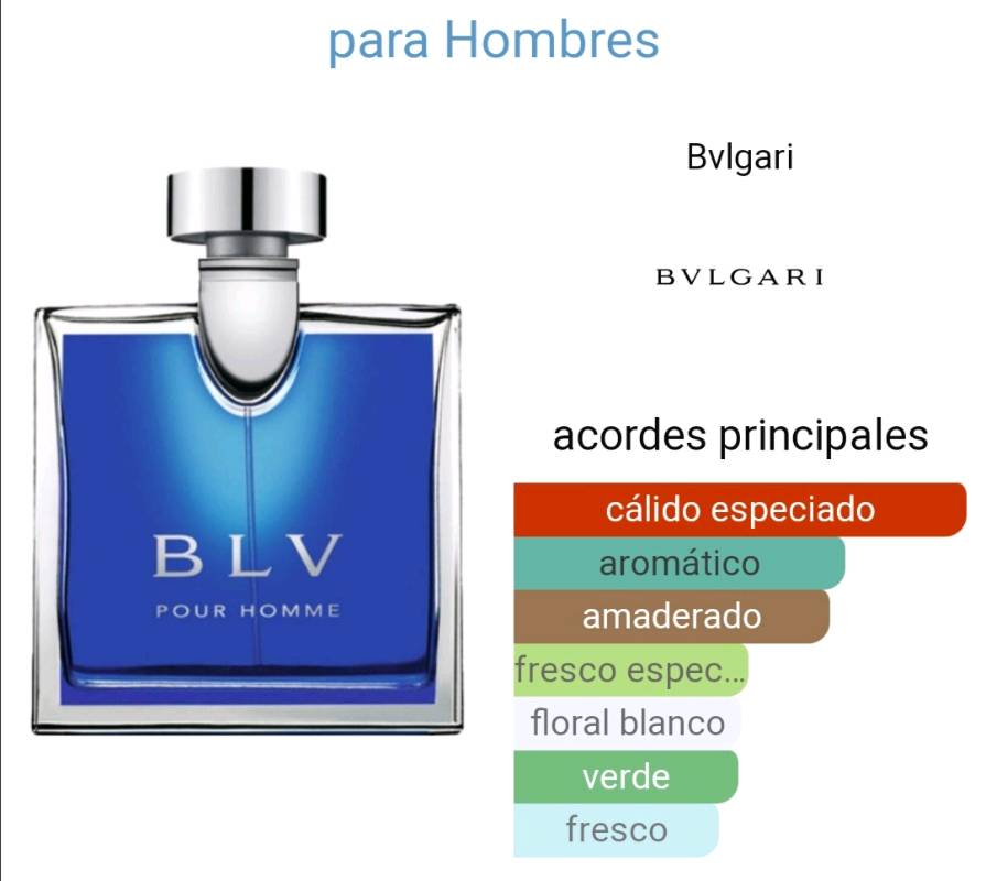 Blv pour homme best sale precio