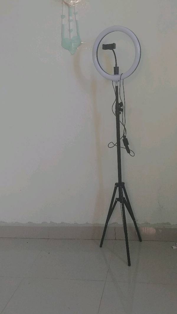 Haro de 2025 luz precio