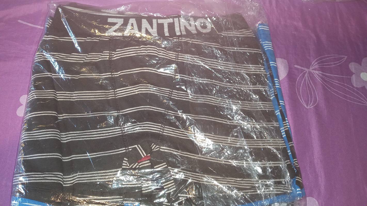 Zantino best sale boxer fabrica