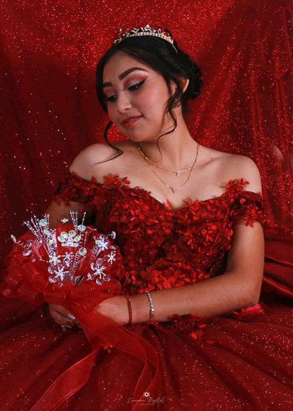 Vestidos de xv años en san best sale pedro garza garcia
