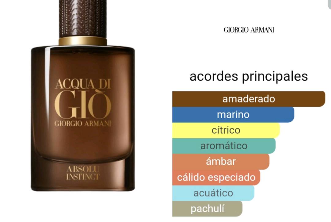 Acqua di on sale gio absolu notas