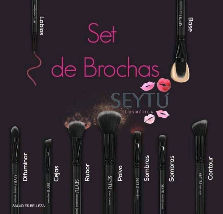 Set de shop brochas profesionales seytu