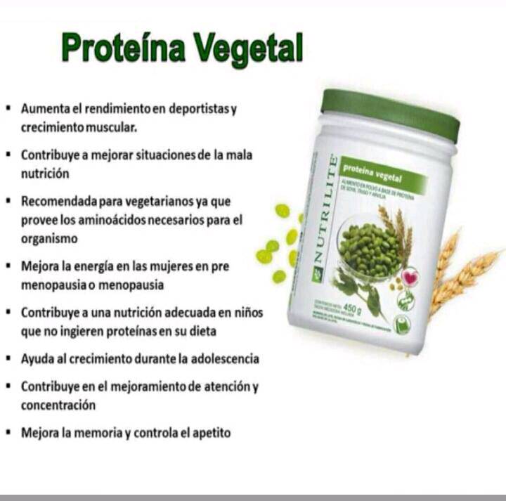 Amway Introduces NUTRILITE™ All Plant Protein Powder, 40 OFF