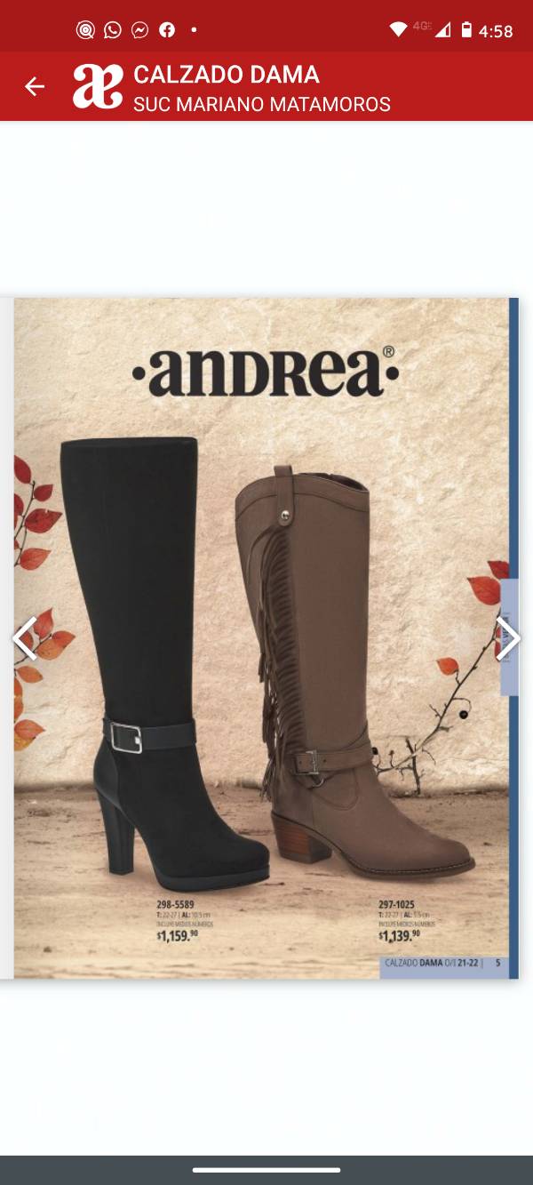 Botas de andrea para dama on sale