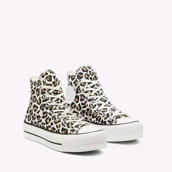 Animal converse top
