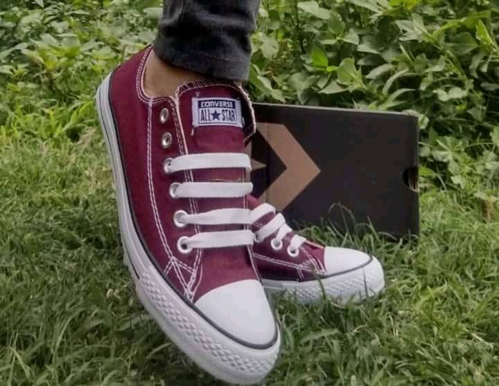 Converse sale vino precio