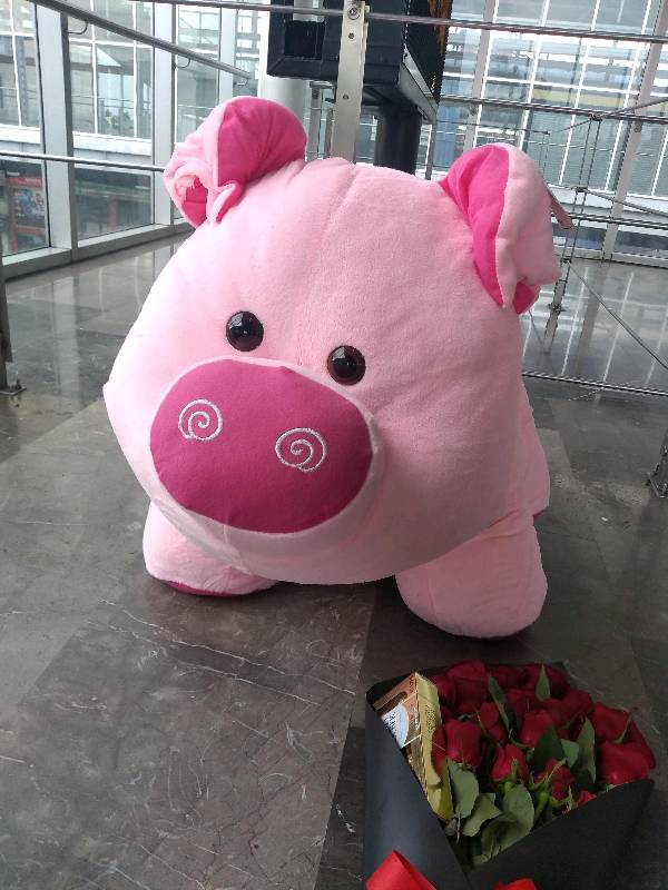 Peluche de hotsell puerquito gigante