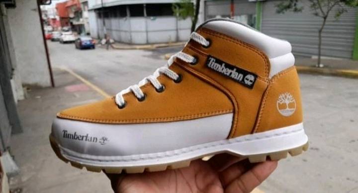Burros Timberland