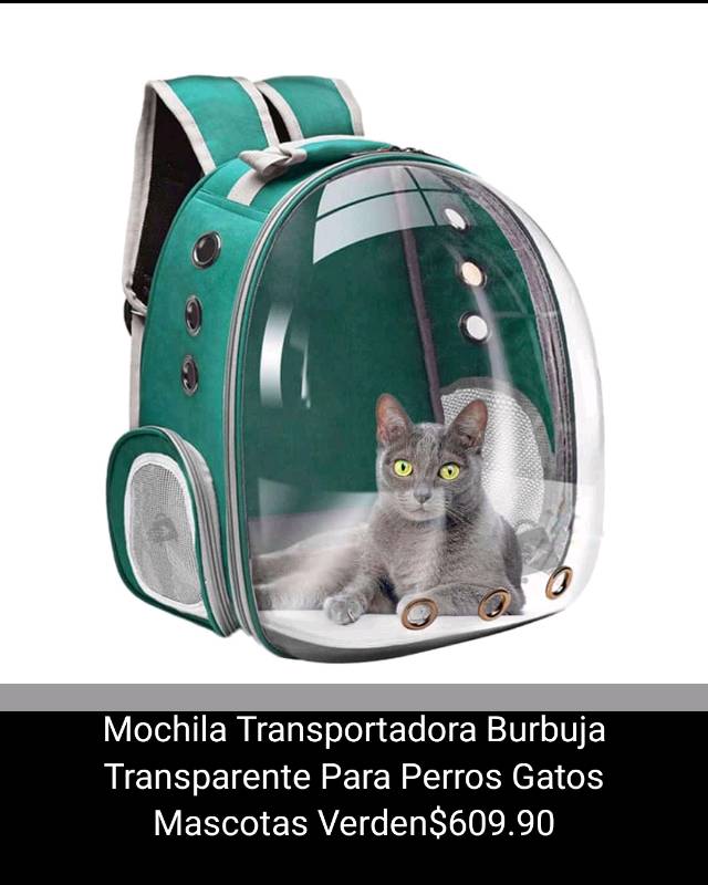 Mochila hotsell burbuja gato
