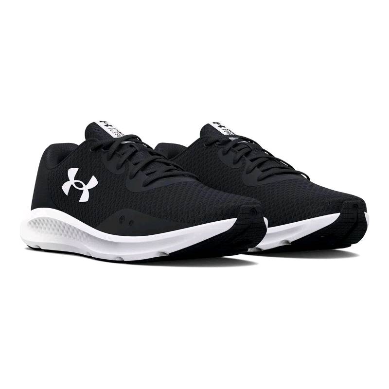 Champion shop under armour
