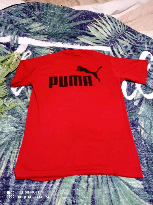 Poloche de hombres en Santo Domingo