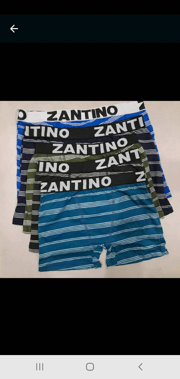 Zantino lenceria online catalogo